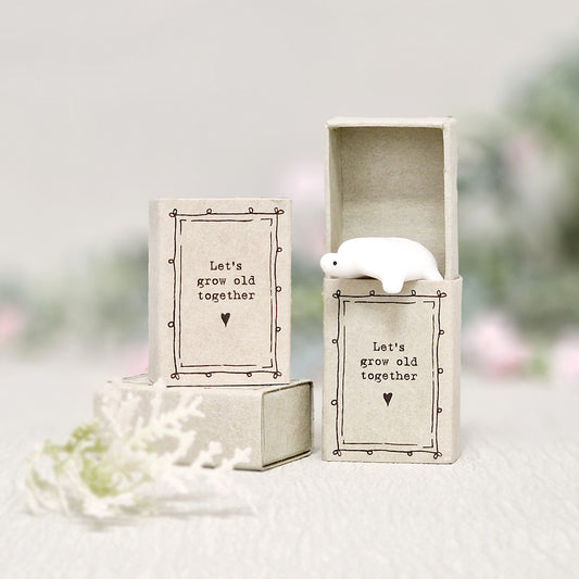 Porcelain Matchbox Message Tortoise – Let’s grow old together