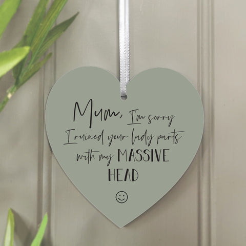 I'm Sorry' Hanging Heart Decoration