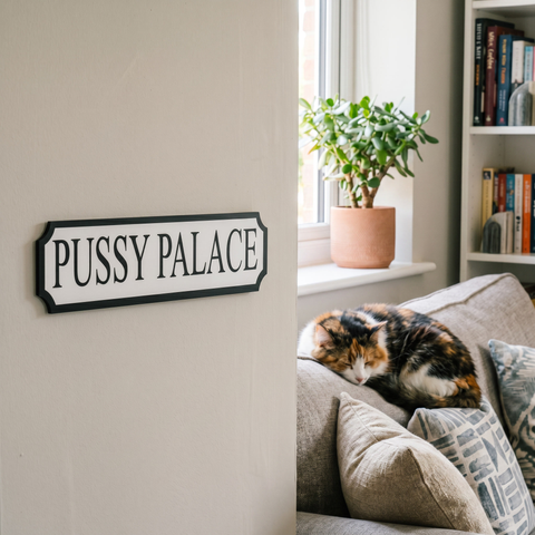 'Create your own' Personalised Street Sign Gift