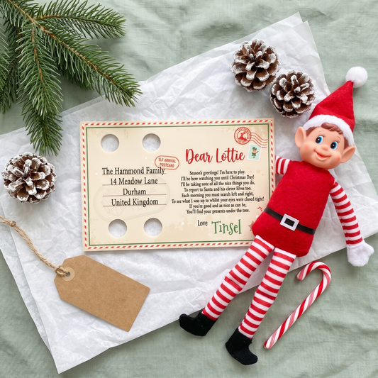 Elf Arrival Postcard and Plush Elf Friend set laid out with tissue paper, pine cones and a gift tag